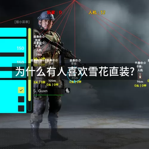 为什么有人喜欢雪花直装?